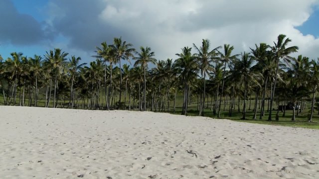 Pan across a nearly perfect white sand beach with tropical palms in the distance.