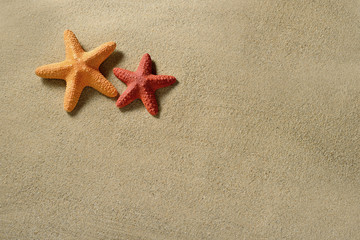 Fototapeta na wymiar Summer beach. Starfish on the sandy beach