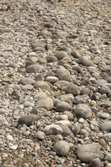 Stones on gravel beach, Jackson Lake, Teton National Park, Wyomi