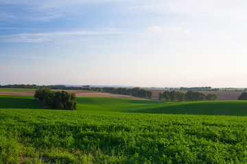 Obraz premium Amazing landscape in Moravia