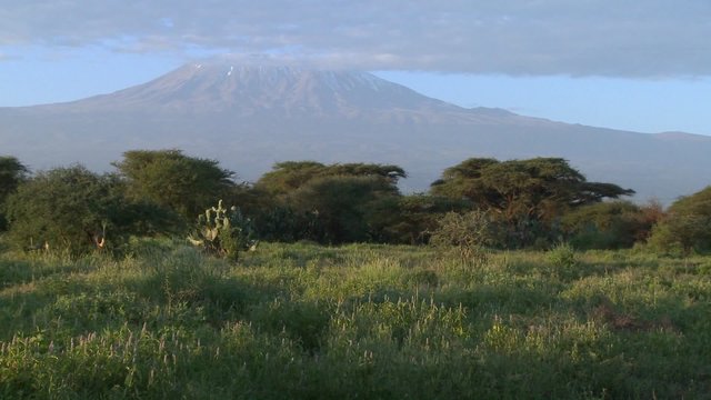 A beautiful morning shot of Mt. Kilimanjaro in Tanzania, East Africa.