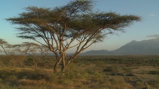 Mt. Meru in the distance, across the Tanzania savannah.