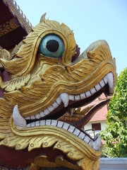 Up Close Dragon