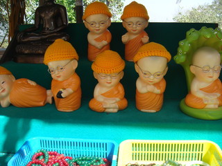 Baby Monks for Sale