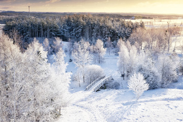 Winter panorama. Frozen trees, bushes and meadows. Aerial view. Masuria, Poland.