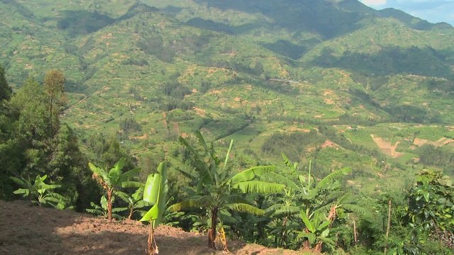 Tilt up reveals the lush countryside and farmland of Rwanda.