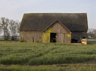 Fototapeta na wymiar Old Barn With Field