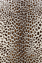 Leopard and tiger fur pattern 
