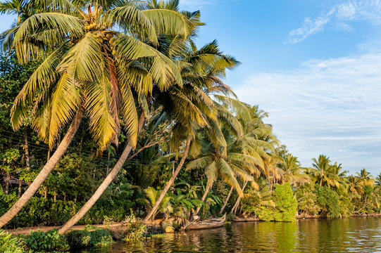 Kerala Backwaters Near Alappuzha In India