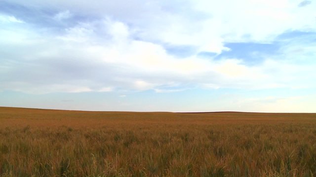Vast open plains stretch out to the horizon.