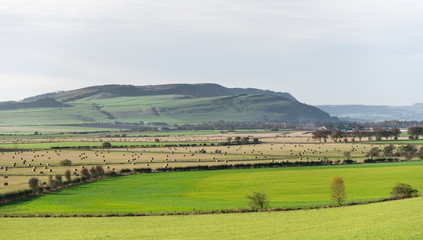 Obraz premium Perthshire farmland