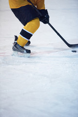 Obraz premium ice hockey player in action