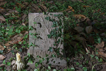 Halloween Gravestone