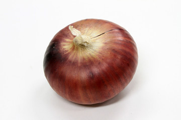 パープルオニオン