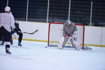 Obraz premium ice hockey goalkeeper