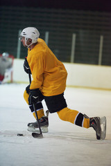 Fototapeta na wymiar ice hockey player in action