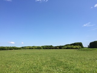 Obraz premium 公園