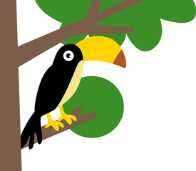 toucan
