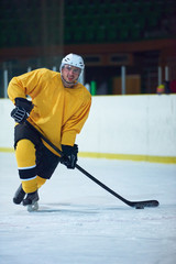 Obraz premium ice hockey player in action