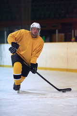 Obraz premium ice hockey player in action