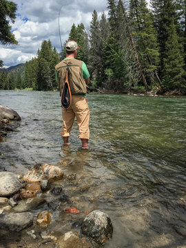 Fly fishing the Gallatin River