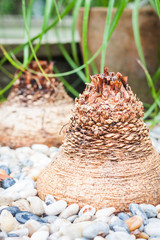 Green leaves with brick background