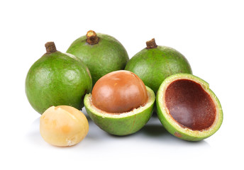fresh macadamia nut on a white background