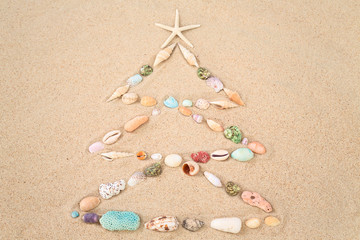 Fototapeta na wymiar Beach Xmas concept on sand as a Christmas tree with shells