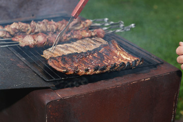 meat skewers on the barbecue coals