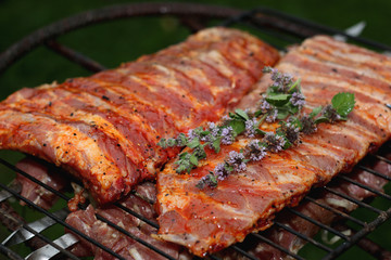 meat skewers on the barbecue coals
