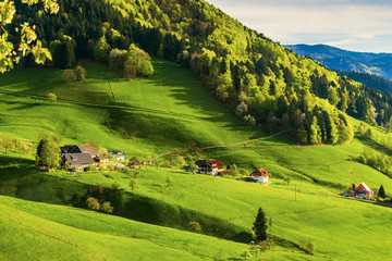 Scenic pastoral landscape with a picturesque mountain valley in Germany, Muenstertal, Black Forest....