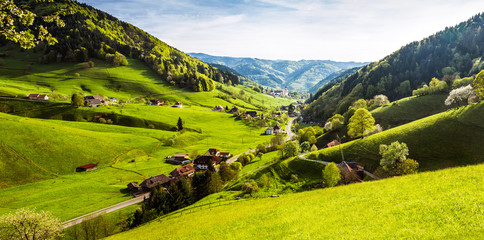 Scenic panorama view of a picturesque mountain village in Germany, Muenstertal, Black Forest.
