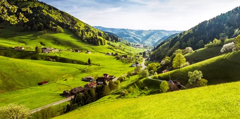Rollo Scenic panorama view of a picturesque mountain village in Germany, Muenstertal, Black Forest. © Funny Studio
