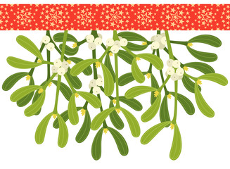 Mistletoe sprigs with red starry ribbon, isolated on white background