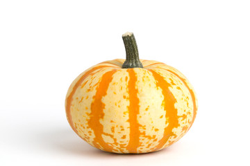 おもちゃカボチャ