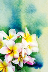 Flower watercolor illustration.