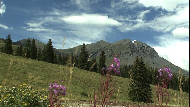 Rocky Mountain Peak Scenic