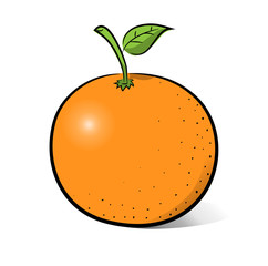 Orange, a hand drawn vector illustration of an orange, the sketch, main colors, and the shadows are on separate groups for easy editing.
