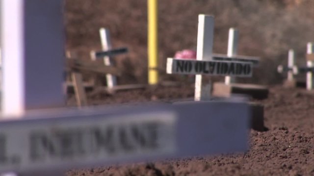 Many crosses and gravestones have been mounted in a cleared field as a demonstration.