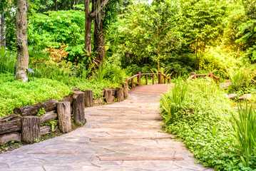 Stone pathway middle of flora garden.