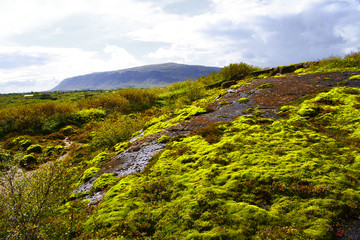 Natura Islandzka - obrazy, fototapety, plakaty