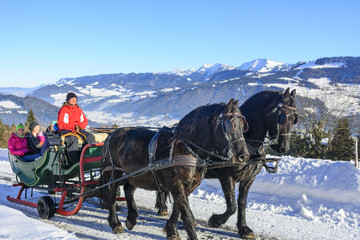 Ausflug mit dem Pferdeschlitten © ARochau
