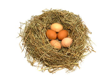 bird's nest with eggs