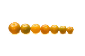 yellow ripe tomatoes