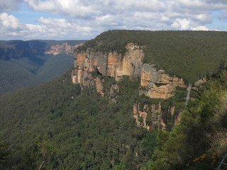 Fototapeta na wymiar Blue Mountains National Park, NSW, Australia