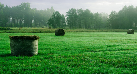 Fototapeta premium rolls of hay