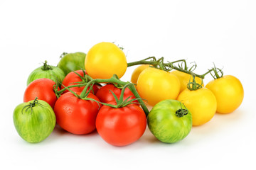 tomates multicolore sur fond blanc