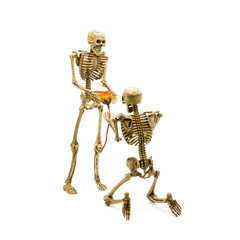 Skeleton model kneel proposal to girlfriend giving rose.