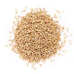 Top view of Organic Dried coriander seeds (Coriandrum sativum) isolated on white background.
