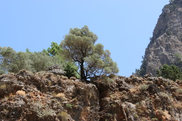 Gorges de Samaria